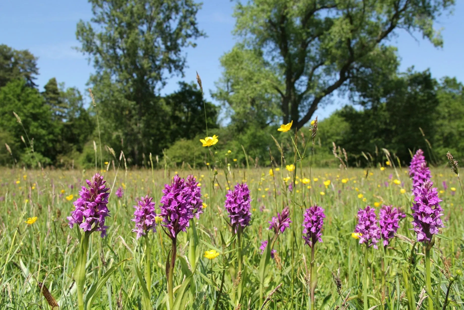 Uitvaart-regelen-Rouwcentrum-Zuidema Uitvaart-regelen-Rouwcentrum-Zuidema