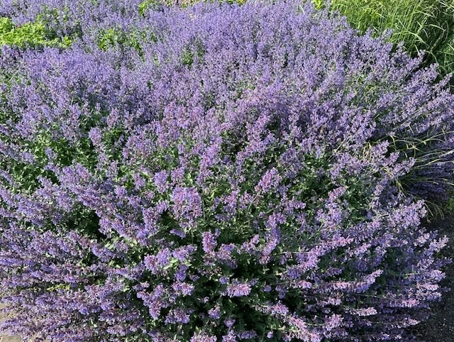 eerste-stappen-na-overlijden Eerste-stappen-na-overlijden-Rouwcentrum-Zuidema